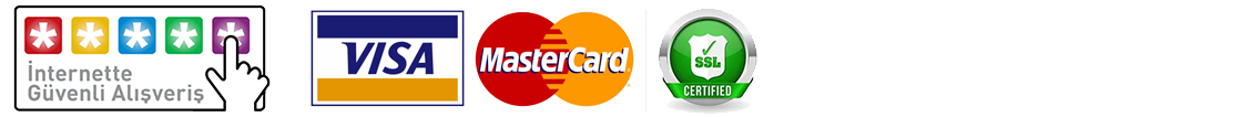 Visa MasterCard logos