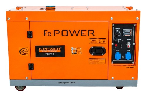 FE-P10