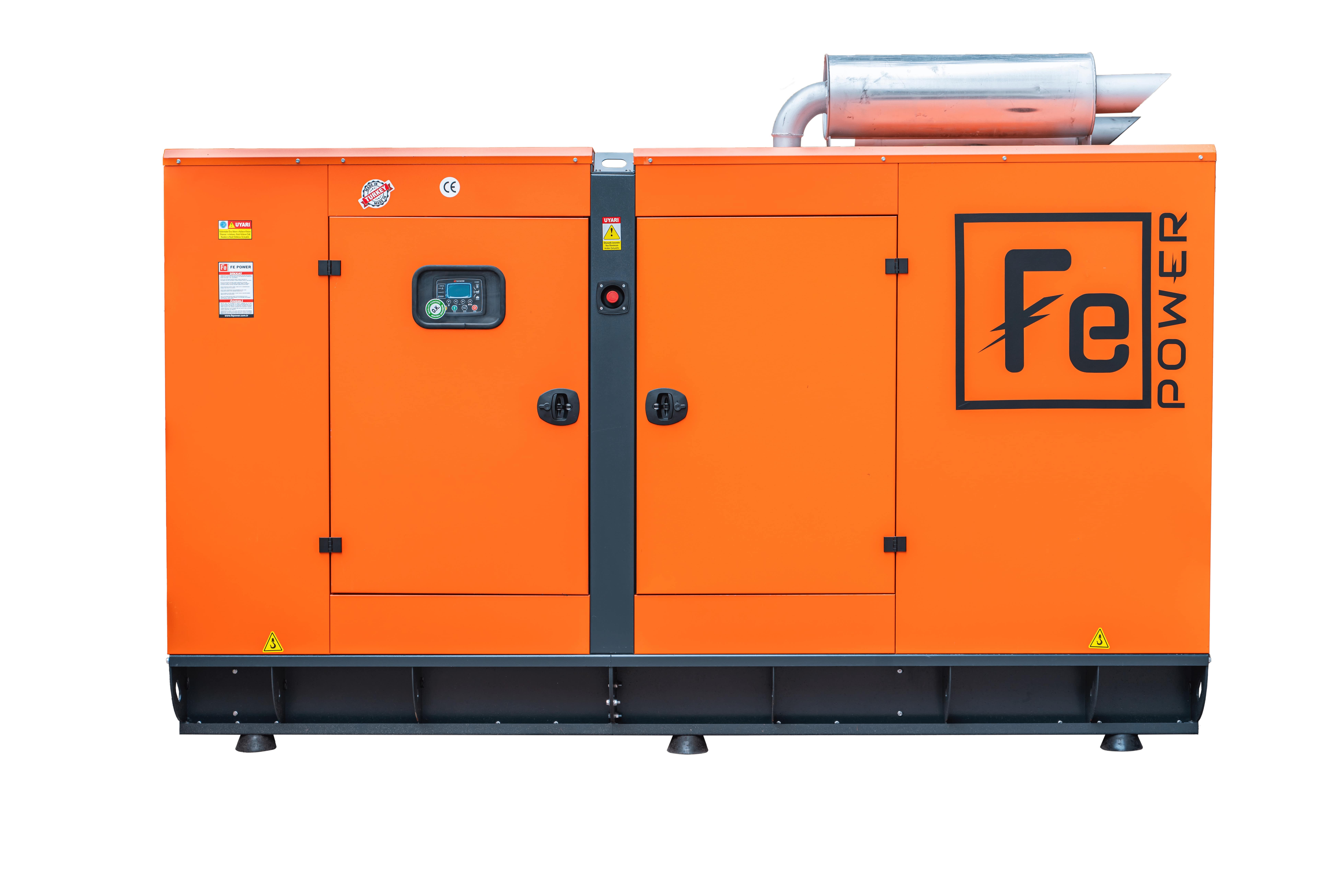 FE-P 300